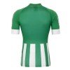 Camisetas Real Betis Primera Equipacion 2020/2021 
